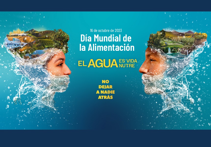 Image de la noticia